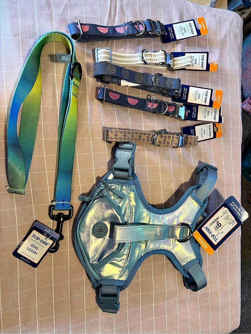 Medium Top Paw Dog Collar, Leash, & Harness